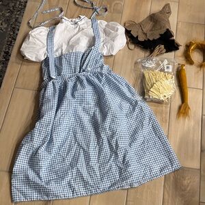 Dorothy (xl), lion and scare crow costumes!